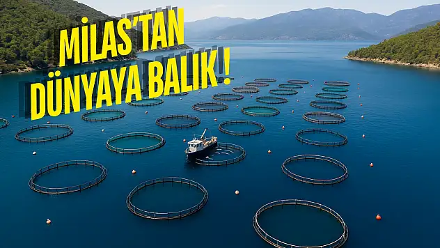 Muğla İhracatta Rekor Kırdı: Milas Ekonominin Lokomotifi Oldu