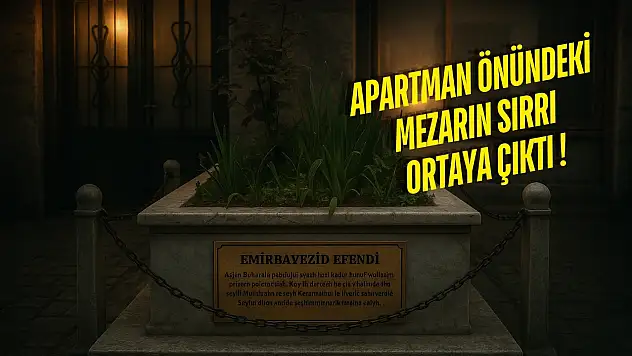 Muğlalı şaşkın herkes yatır sanıyordu: Meğer Osmanlı alimiymiş