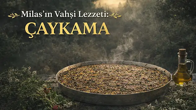 Oklava Yok, Yufka Yok! Milaslı Kadınların 'Dökme Hamur' Mucizesi