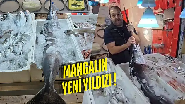 Omega-3 Deposu Kılıç Balığı Milas'ta Tezgahta