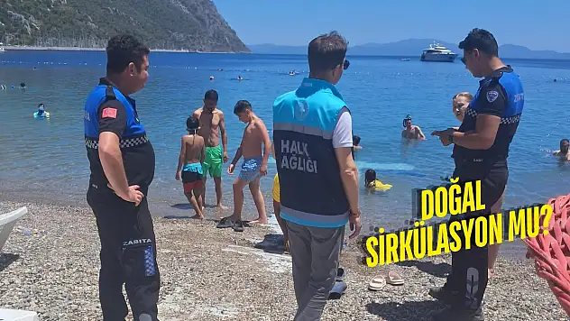 Ören Denizi'ndeki Renk Değişimi Şikâyet Konusu Oldu Kurumlar Harekete Geçti