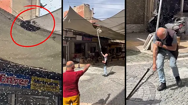 Sokak ortasında patlayan arı kovanı mahalleyi alarma geçirdi