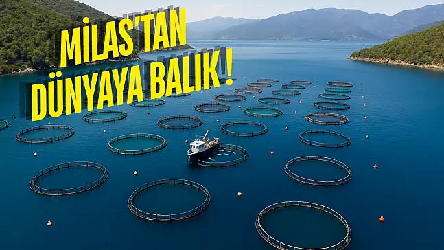 Muğla İhracatta Rekor Kırdı: Milas Ekonominin Lokomotifi Oldu