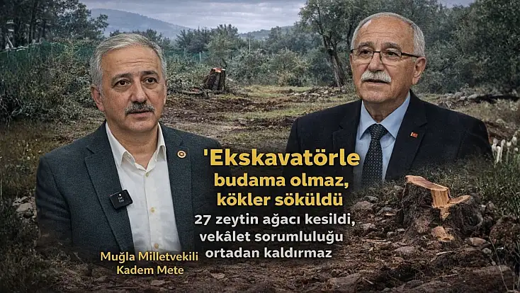 Kadem Mete: 'Vekâlet sorumluluğu kaldırmaz, 27 zeytin ağacı kesildi'