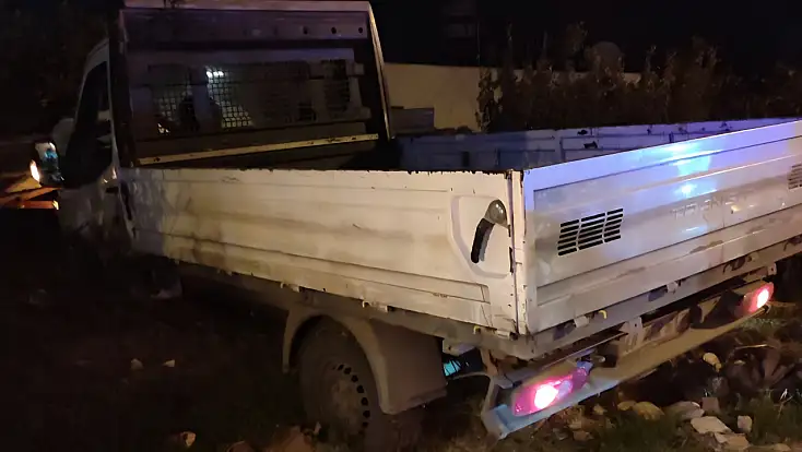 Milas'ta Aniden Yola Fırlayan Köpek, Kazaya Sebep Oldu