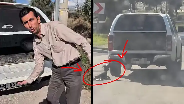 Milas’ta Köpeğin Sürüklenerek Öldüğü Görüntüler Tepki Çekti Sürücü:  'Olay Kazara Yaşandı Üzgünüm'