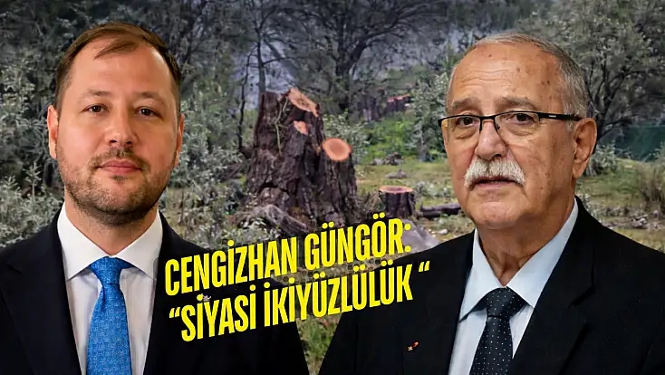 'Zeytinler fırtınada devrildi' dedi: Milas’ta CHP’li başkanın zeytin ağaçlarıyla ilgili tartışma büyüyor
