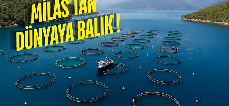 Muğla İhracatta Rekor Kırdı: Milas Ekonominin Lokomotifi Oldu