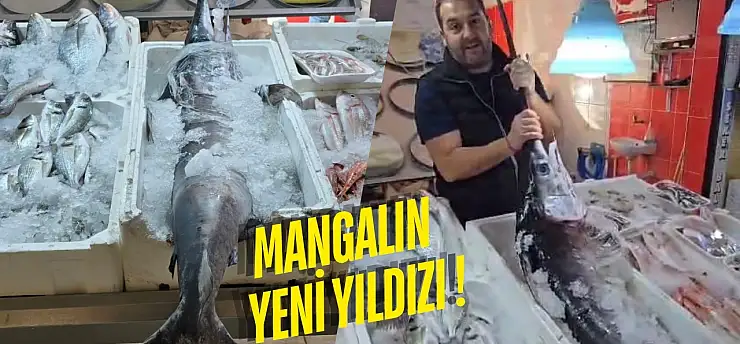 Omega-3 Deposu Kılıç Balığı Milas'ta Tezgahta