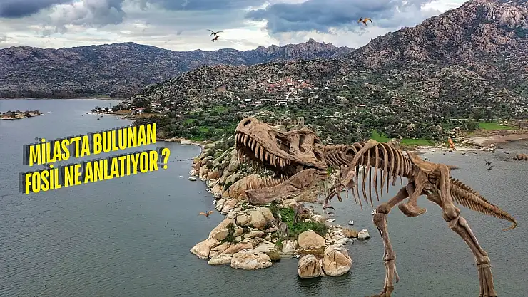 70 milyon yıllık sır: Türkiye'de dinozor fosili bulundu mu?