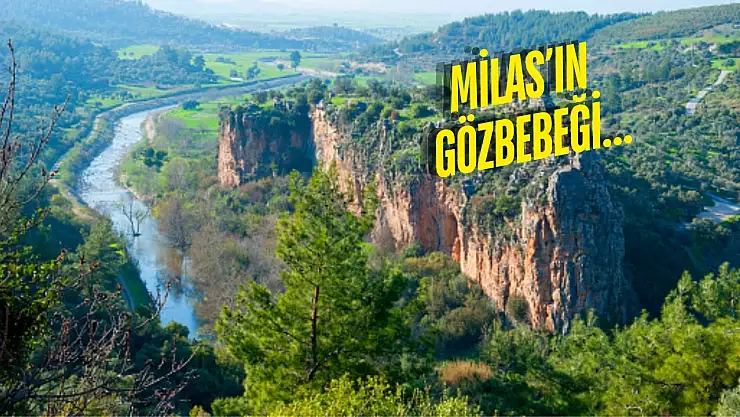 Ayaklarınızın Altında Saklı Bir Dünya: Gökçeler Kanyonu'nun Nefes Kesen Güzelliği