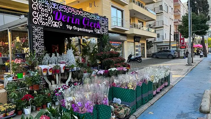 Derin Çiçek’te Yılbaşı İndirimi Başladı: Çift Dal Orkideler 545 TL