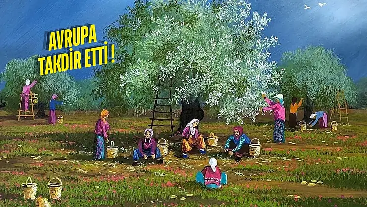 Dünya Artık Milas'ı Konuşacak: O Ünlü Zeytin Bahçelerinin Yağı AB Tarafından Tescillendi