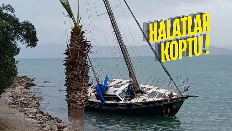 Fırtına Kıyıkışlacık ve Güllük'ü vurdu