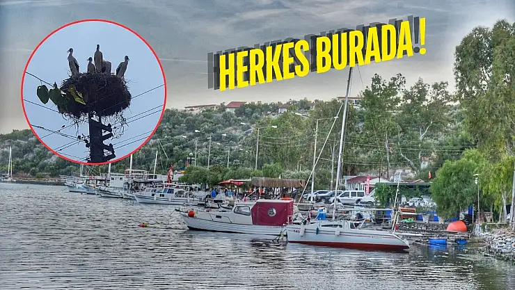 Herkes buraya akın etti: Milas'ta bayramın gözde noktası