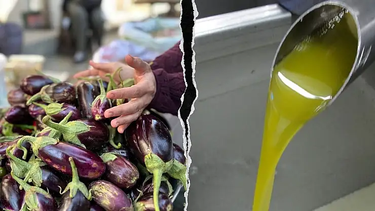 Kasımda Patlıcan Fiyatları Yüzde 69 Arttı, Zeytinyağında Talep Azaldı