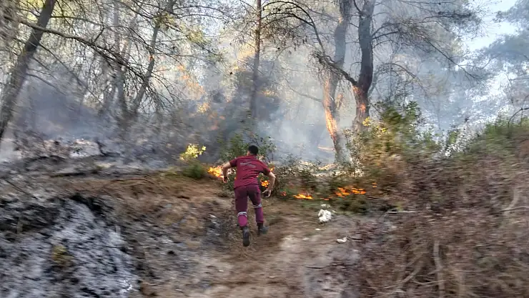 Milas Beçin'de Orman Yangını Büyümeden Söndürüldü