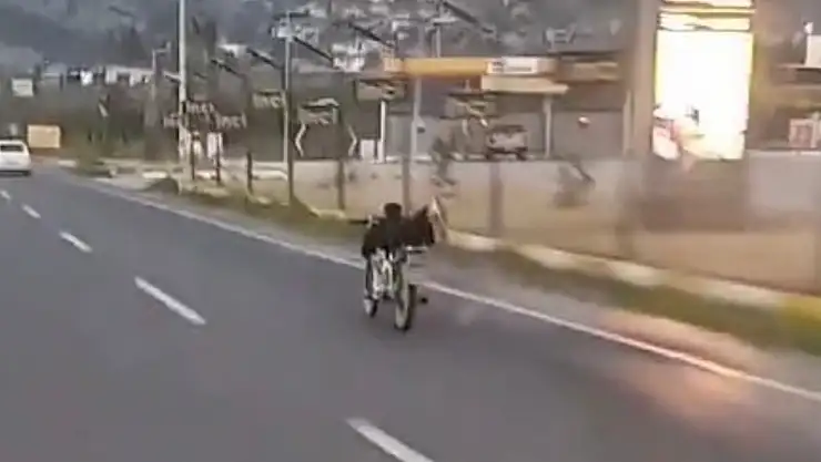 Milas Bodrum Karayolu'nda tehlikeli dakikalar: motosiklet sürücüsünden akıl almaz hareketler