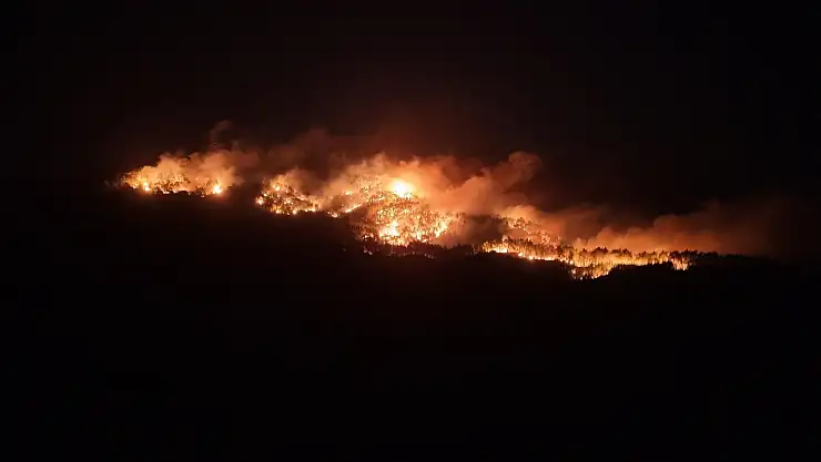 Milas Çine sınırında orman yangını büyüyor