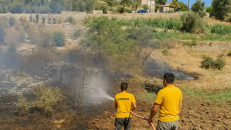 Milas Çomakdağ'da aynı noktada yeniden çıkan yangın söndürüldü