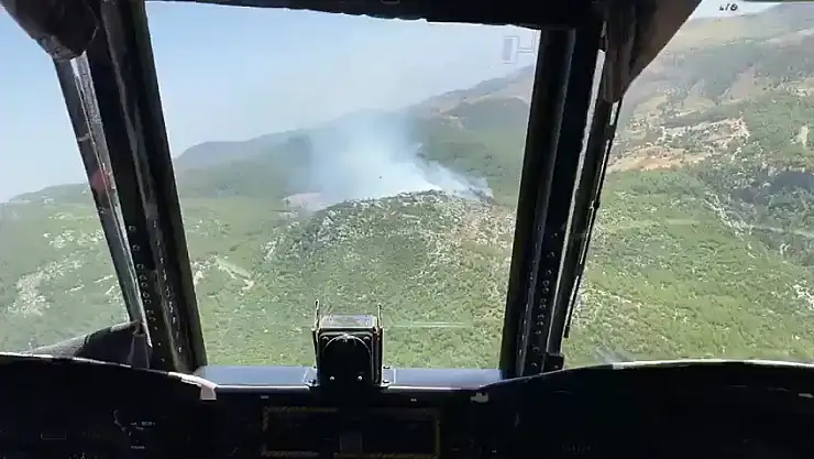 Milas Demirciler Mahallesi Hayıtlı Mevkinde Orman Yangını Çıktı