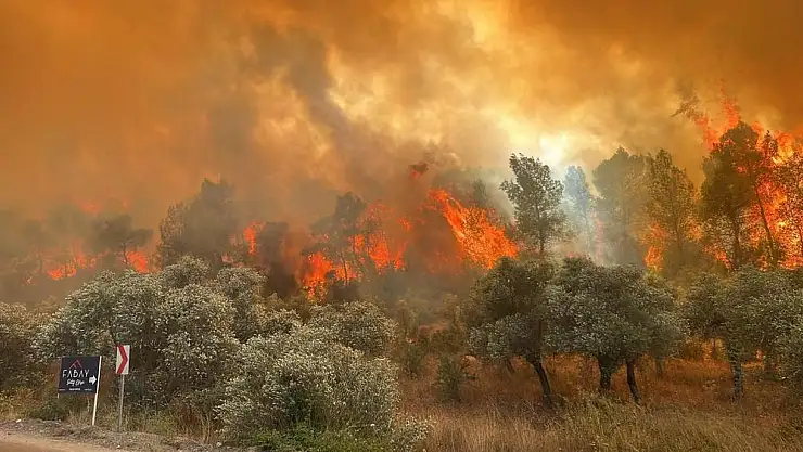 Milas Dikkat…Valilikten Orman Yangını Uyarısı Geldi