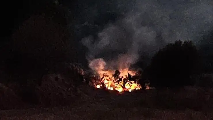 Milas'ın Dörttepe Mahallesi'nde Zeytinlik Alanda Yangın Başladı