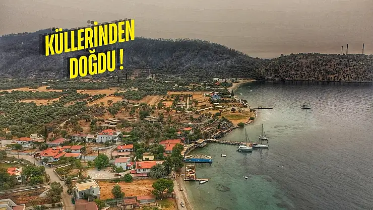 Milas'ın en serin kaçış noktası belli oldu: Yangından kurtulan cennet