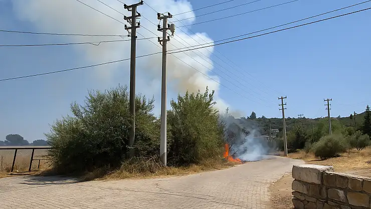 Milas'ın Kafaca Mahallesi'nde Otluk Yangını Korkuttu