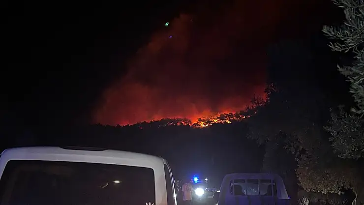 Milas'ın Kıyıkışlacık Mahallesi'nde gece yarısı yangın alarmı