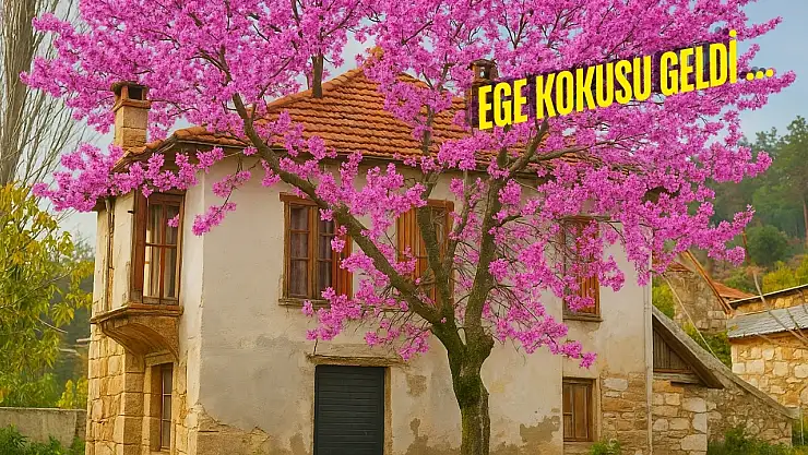 Milas'ın zeytin ve çam kokulu köyleri gezginlerin gözdesi