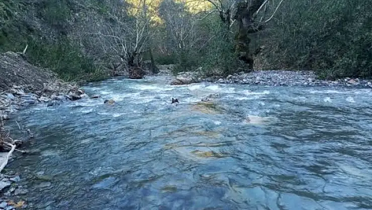 Milas, Kayaderesi Baraj Yapımı Davasına İptal Kararı