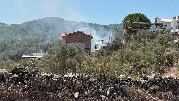 Milas Meşelik Mahallesi'nde Çıkan Yangına Ekipler Anında Müdahale Etti