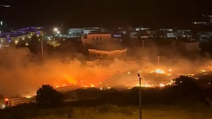 Milas'ın Meşelik Mahallesi'nde Alevler Yerleşim Alanlarına Yaklaştı