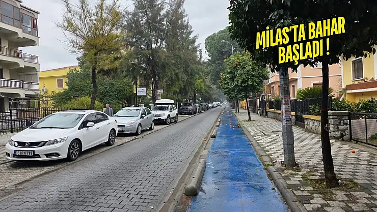 Milas'ta Bu Hafta Hava Nasıl Olacak ?
