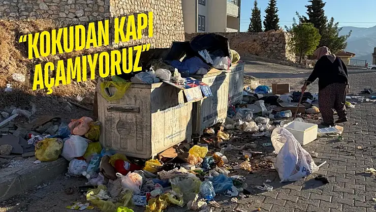 Milas'ta Çöpler Yolları Kapladı, Kokular Mahalleye Yayıldı: Vatandaşlar İsyan Etti