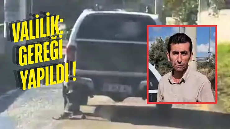 Milas'ta Dehşet Görüntüleri Sonrası Jandarma Harekete Geçti, 2 Kişi Gözaltına Alındı