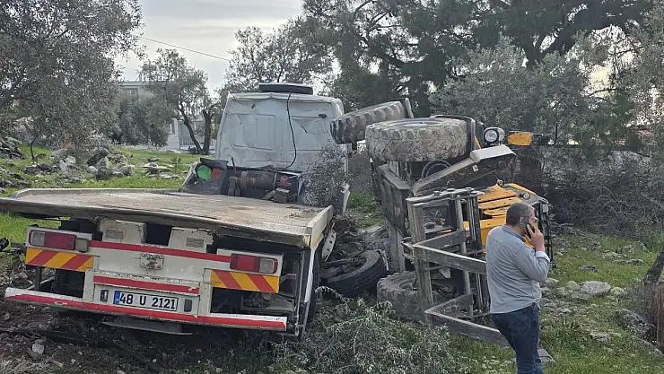 Milas'ta freni boşalan çekici zeytinliğe uçtu: 1 kişi yaralandı
