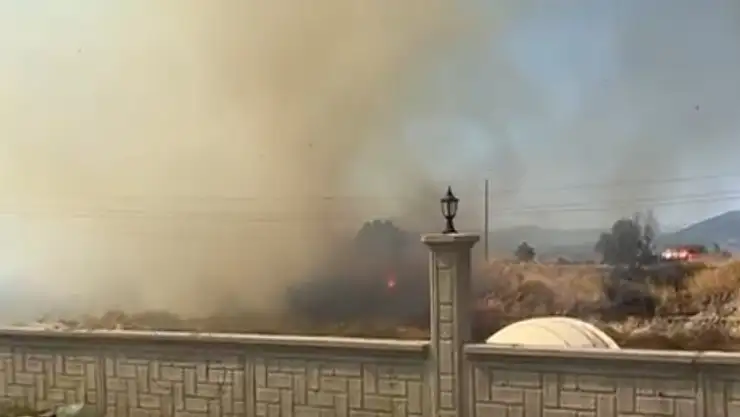 Milas'ta otluk alanda çıkan yangın paniğe neden oldu