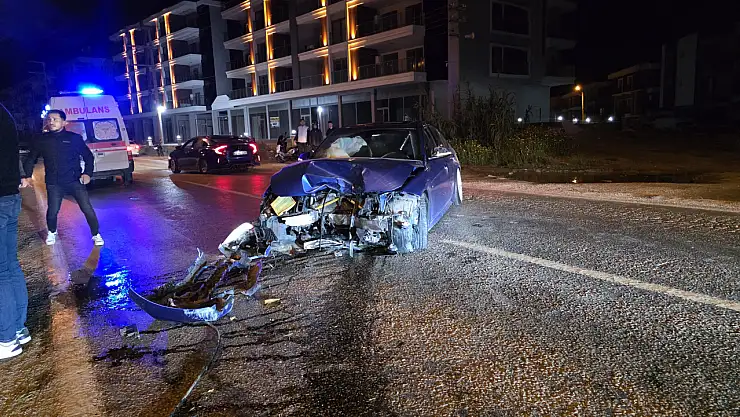 Milas'ta otomobil orta refüje çarptı palmiye ağacı devrildi