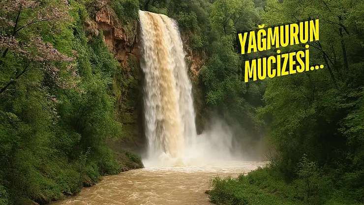 Milas'ta saklı kalan şelale yağmurla birlikte yeniden hayat buldu