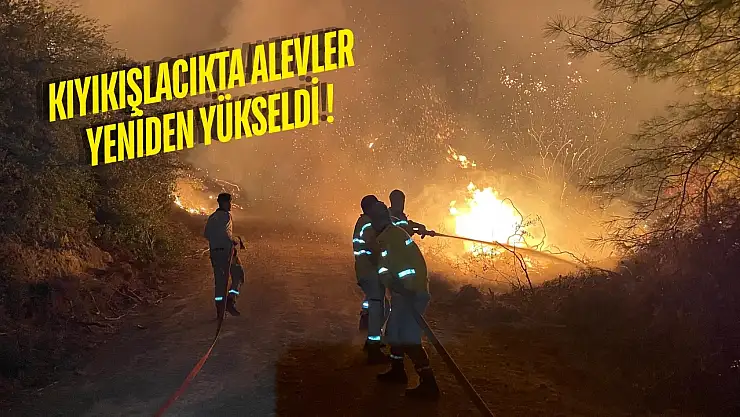 Milas'ta üç ayrı noktada yangın: Akkovanlık, Kıyıkışlacık ve Ulaş'ta alevlerle mücadele sürüyor