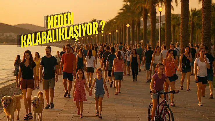 Milas'ta yaz aylarında nüfusu iki kat artan mahalleler belli oldu