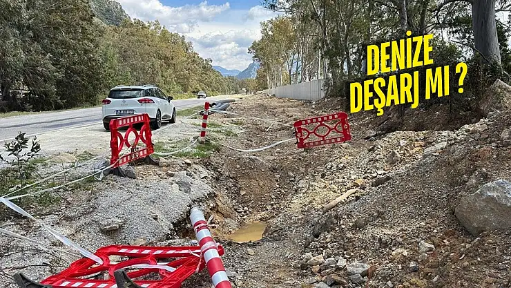 Milas'taki arıtma tesisi Gökova ekosistemi için risk mi taşıyor?