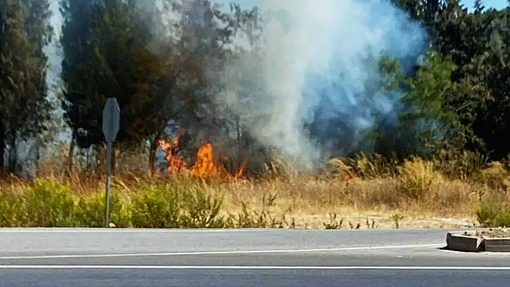 Milas Yatağan karayolundaki yangın kısa sürede söndürüldü