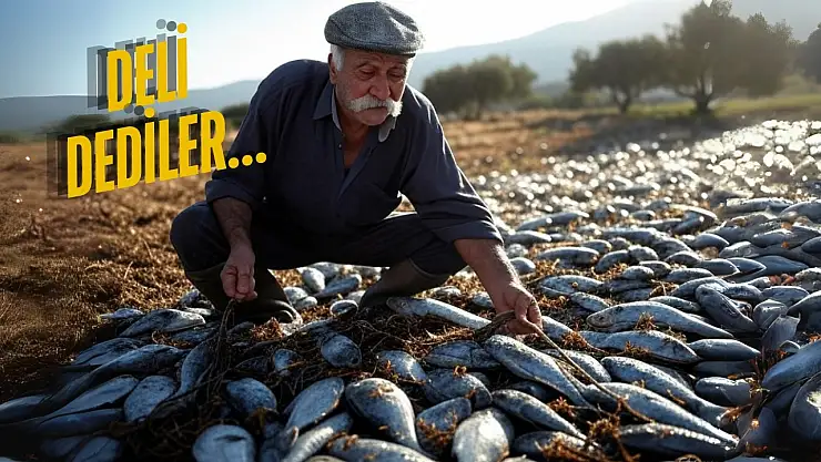 Milaslı Cemal Tarlasını suyla doldurdu ona gülenler şimdi onun izinde!