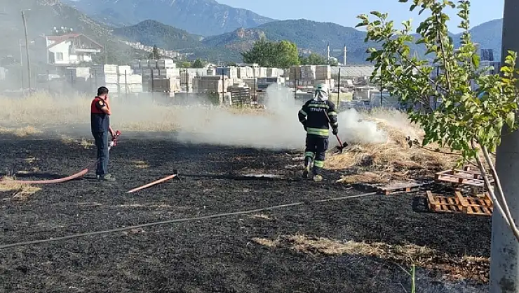 Milas’ta anız yangını panikletti