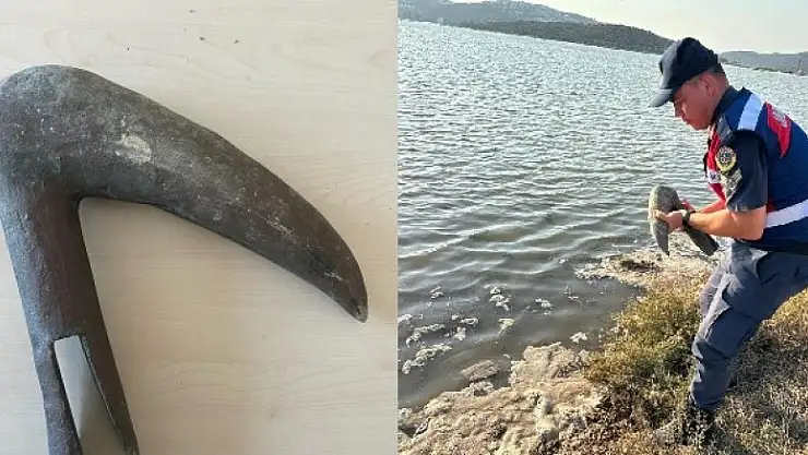 Milas’ta çalınan bronz kuş heykelin başı gölde bulundu