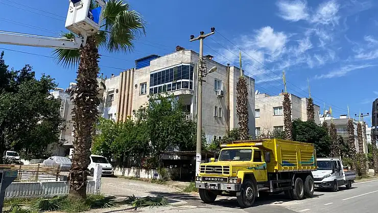 Milas'ta Elektrik Kesintisi, Ağaç Budama Çalışmalarıyla Değerlendirildi