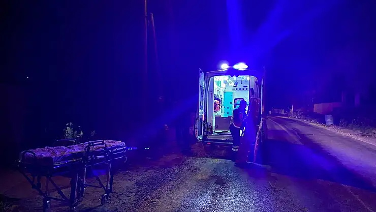Milas'ta Otomobilin Çarptığı Çocuk Yaşamını Yitirdi